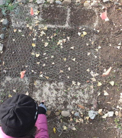 2024-12-07-eggshell3