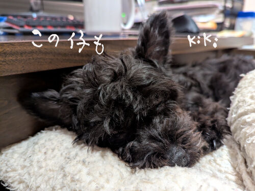 2025-06-29-kiki1