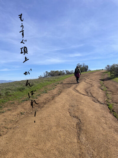 2024-02-27-park4