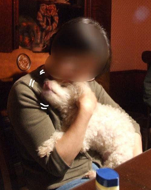 2019-01-25-chibi2