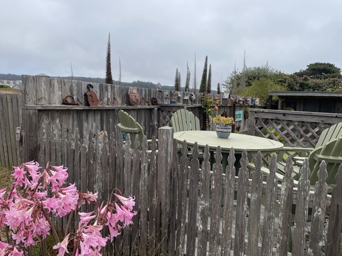 2025-08-29-mendocino (8)