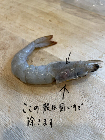 2023-10-25-shrimphead6