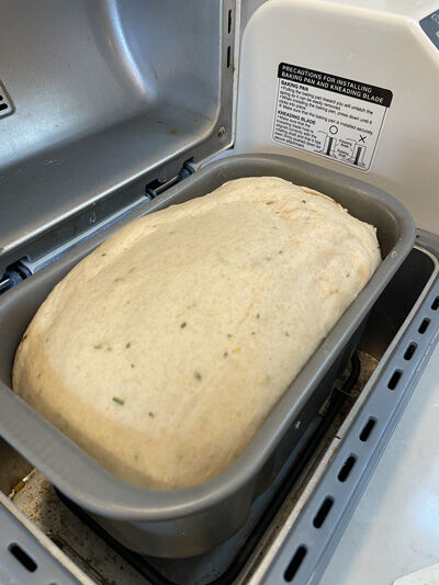 2023-11-21-bread11