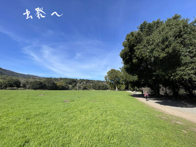 2024-02-27-park6