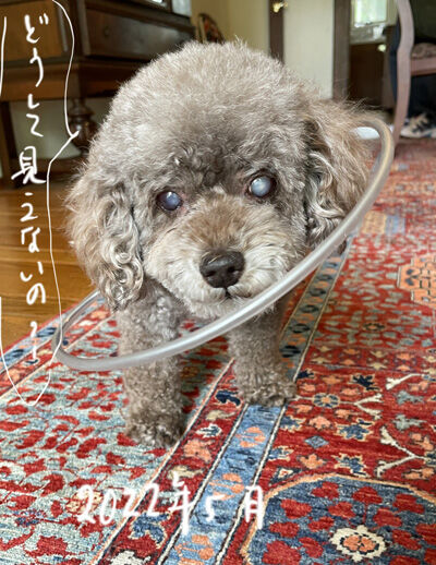2023-02-01-judy1