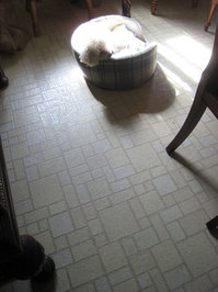 2010_02_20_chibi2