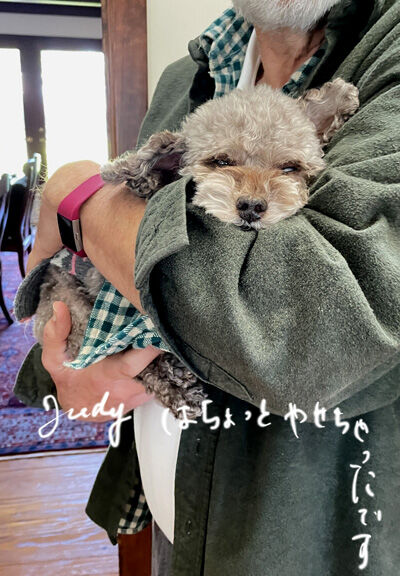 2023-02-26-judy1