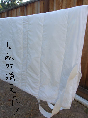 2013-09-09-staingone