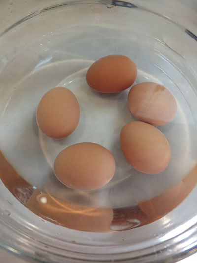 2019-01-03-egg8