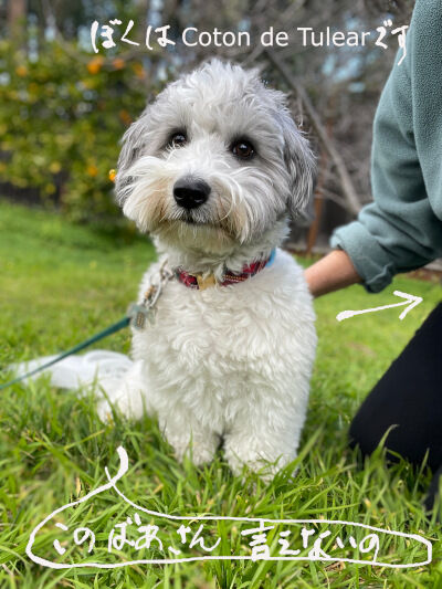 2025-02-19-charlie1