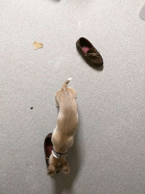 A3335C2A-6666-46F1-A7D9-92C1C21B65EA