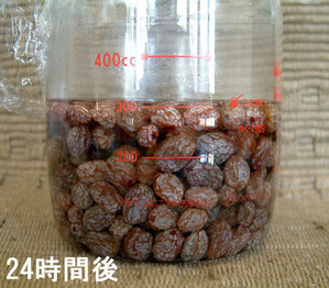 24���ָ�Υ졼��������