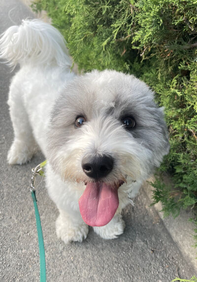 2024-09-22-charlie