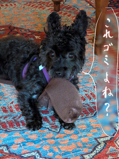 2024-07-27-kiki1