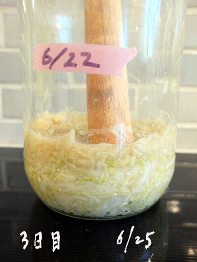 2025-06-26-sauerkraut2