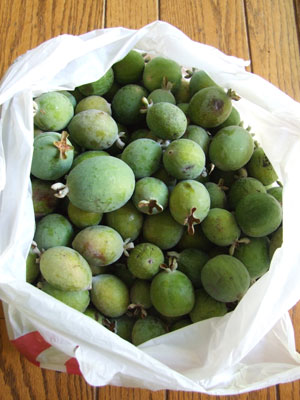2013-10-18-pineappleguavas