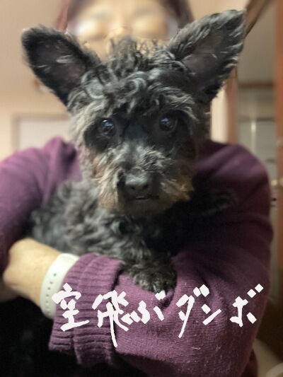 2025-03-23-kiki1