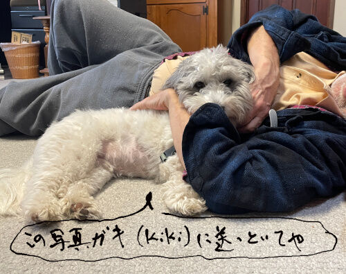 2026-02-19-charlie1