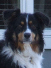 2011_09_08_katyawake2