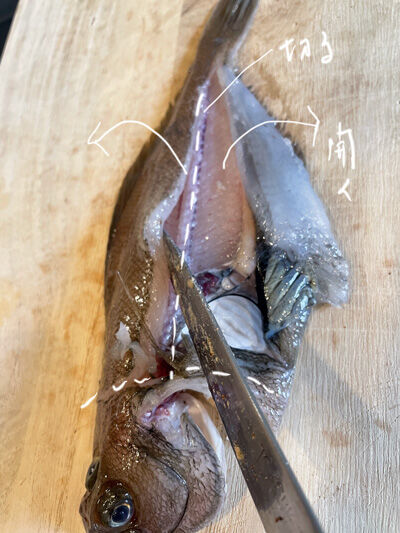 2022-02-15-aji1