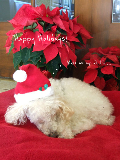 2014-12-23-chibisanta1