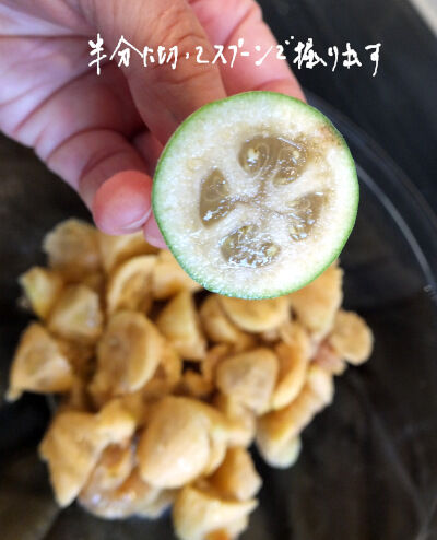 2024-10-18-pineappleguava3