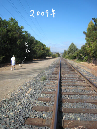2021-02-15-walk10