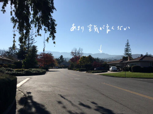 2020-11-28-walk1