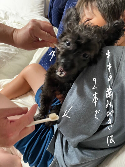 2024-08-27-kiki1