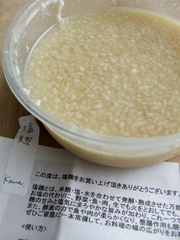 2012_03_19_koji