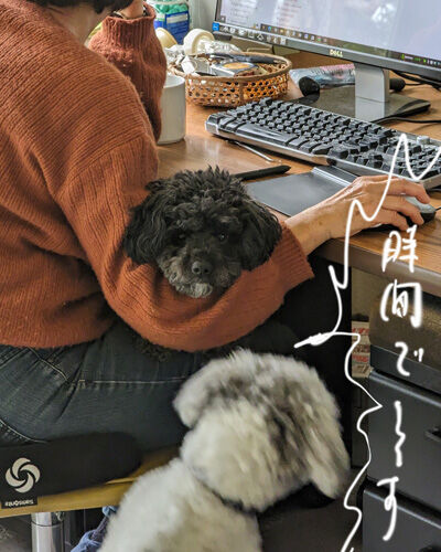 2024-02-23-dogs2