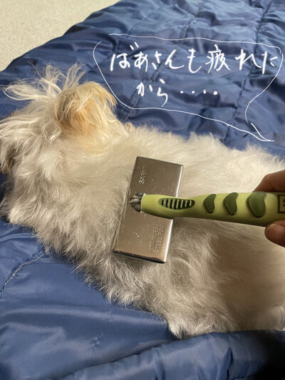 2022-02-02-rasta2