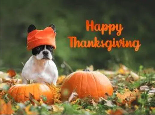 2025-11-27-happythanksgiving