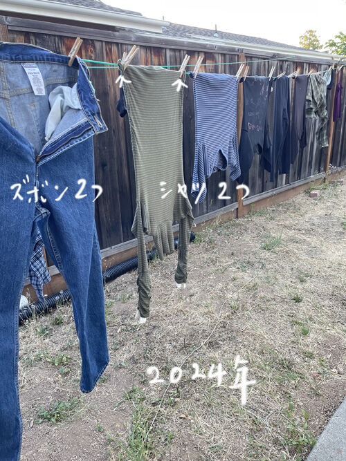 2024-07-18-clotheline4