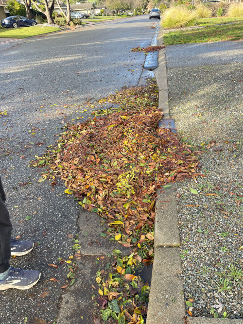 2025-12-25-drainage1