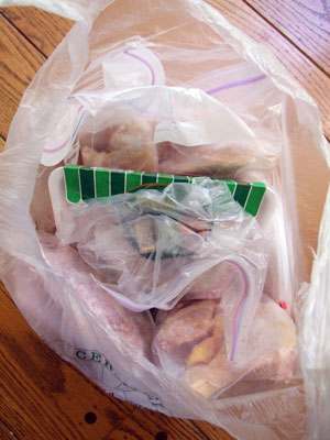 2013-06-23-freezer-gs