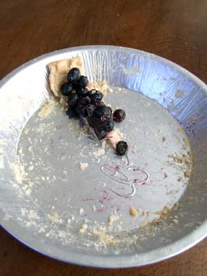 2015-07-15-pie