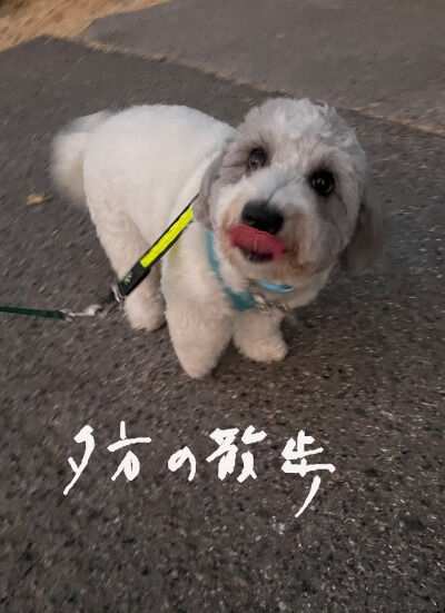 2025-08-13-charlie1
