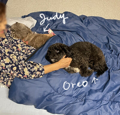2022-06-17-dog1