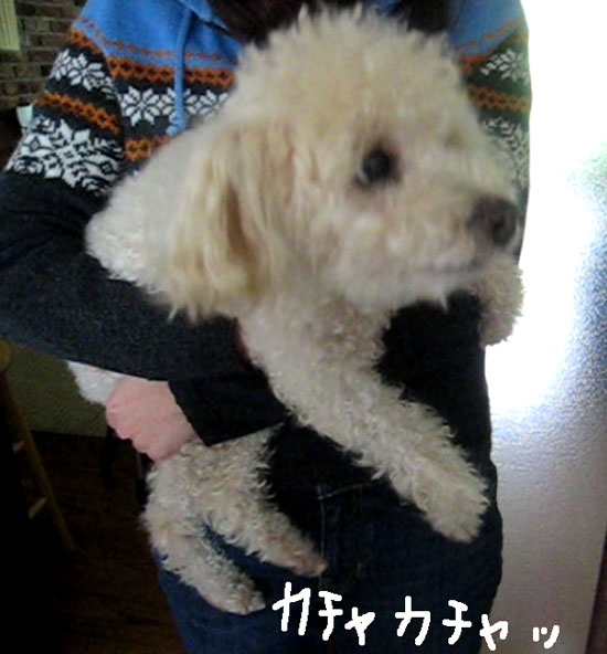 2017-12-19-chibi3
