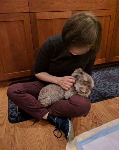 2019-12-19-judy1
