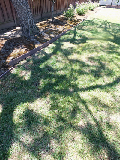 2017-05-31-bbq5
