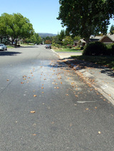2010_08_01_road