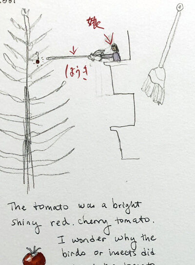 2024-02-01-tomato1