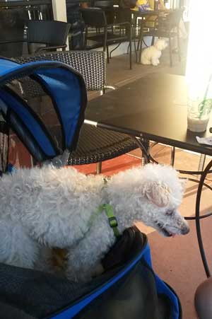 2015-06-25-starbucks2