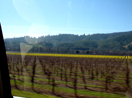 2012_05_01-winery