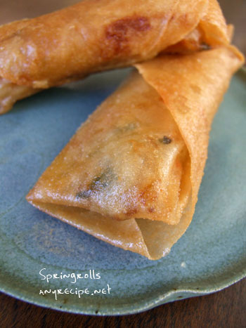 2013-09-04-springroll