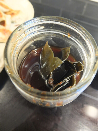 2023-06-15-gyoza3