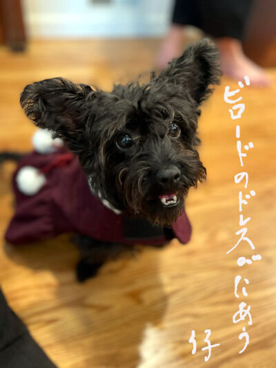 2025-01-12-kiki1