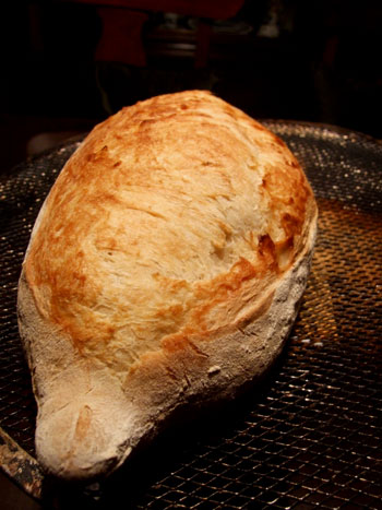 2014-01-23-frenchbread